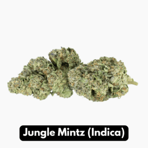 Natural THC-A Flower Indica Jungle Mintz