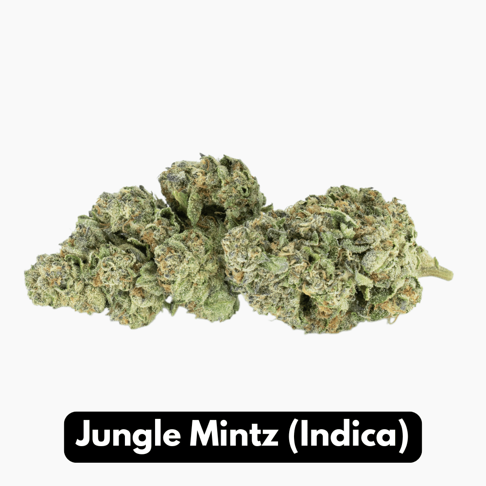 Natural THC-A Flower Indica Jungle Mintz