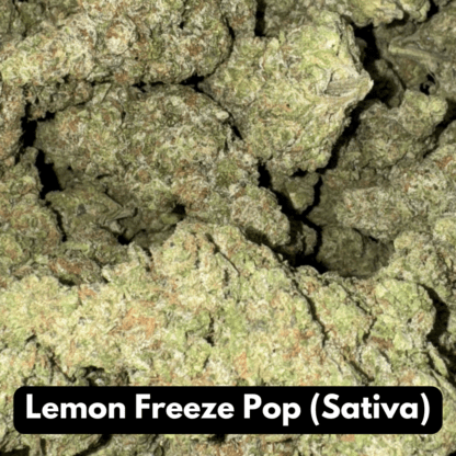 Natural THC-A Flower (Sativa ~ Lemon Freeze Pop)